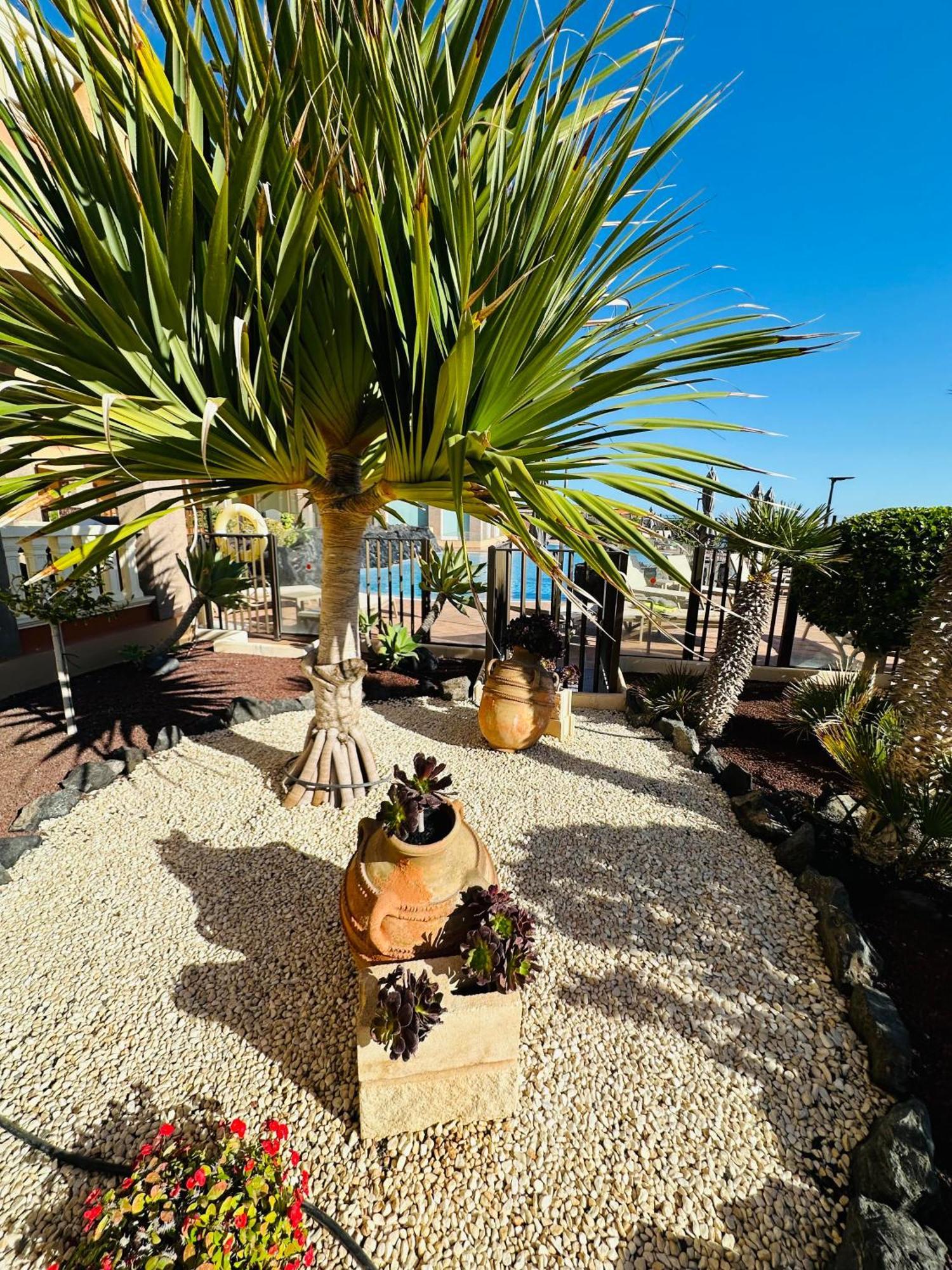 El Nautico Coral Suites San Miguel de Abona Eksteriør billede